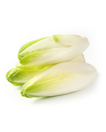 Fresh Endive