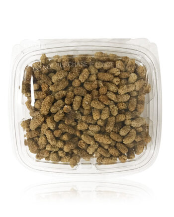 Yekta White Mulberry