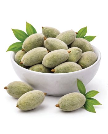 Fresh Almond (Chaghaleh Badoom) 1 LB
